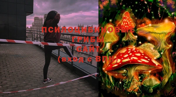 метадон Мегион