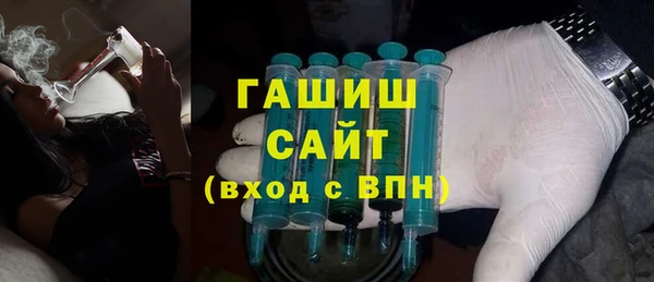 индика Медвежьегорск