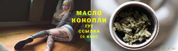 индика Медвежьегорск
