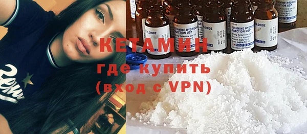 индика Медвежьегорск