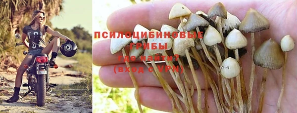 индика Медвежьегорск