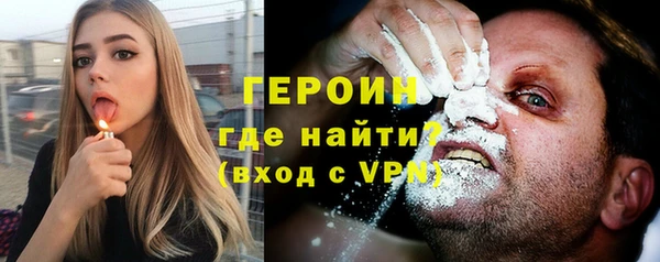 индика Медвежьегорск