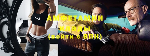 индика Медвежьегорск