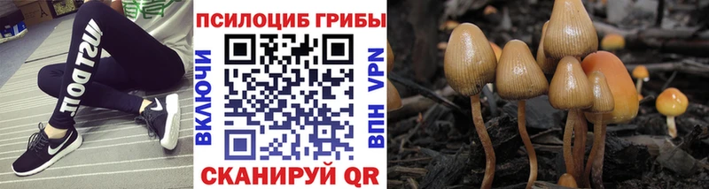 MEGA как войти  Фёдоровский  Галлюциногенные грибы мицелий  продажа наркотиков 